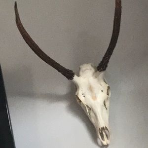 Meet your Posher, Reagan